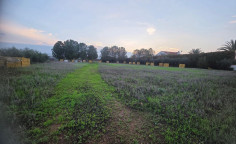 Three bedroom flat for sale in Lakatamia